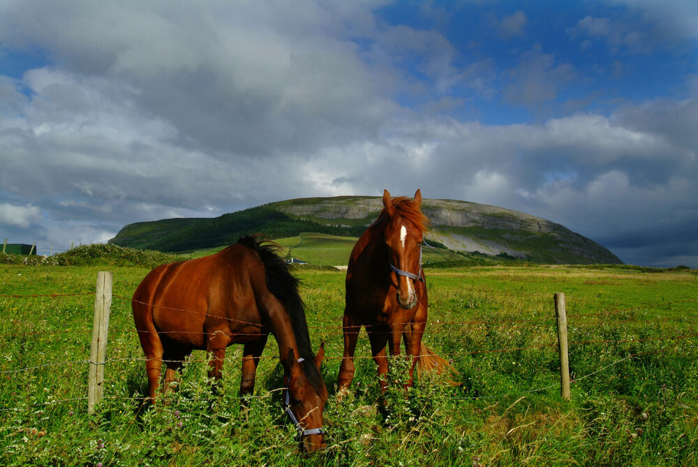 Knocknarea for blog irelandsbluebook